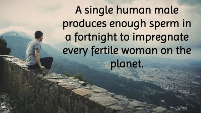 A single human male produces enough sperm in a fortnight to impregnate every fertile woman on the planet.